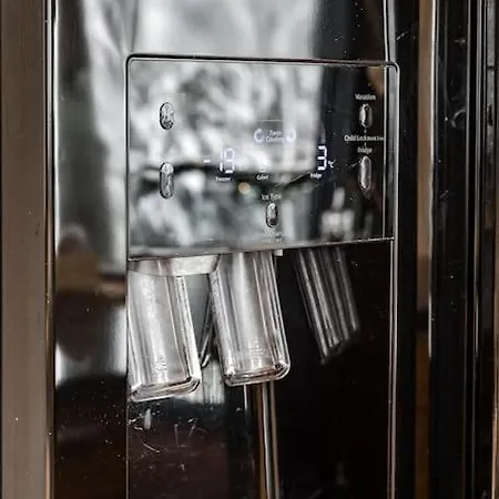 Magnificent In The Peace Of Nature